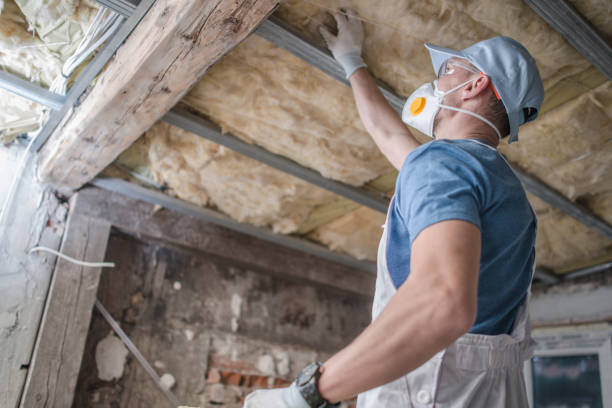 Best Energy Efficiency Insulation in Pittsboro, NC